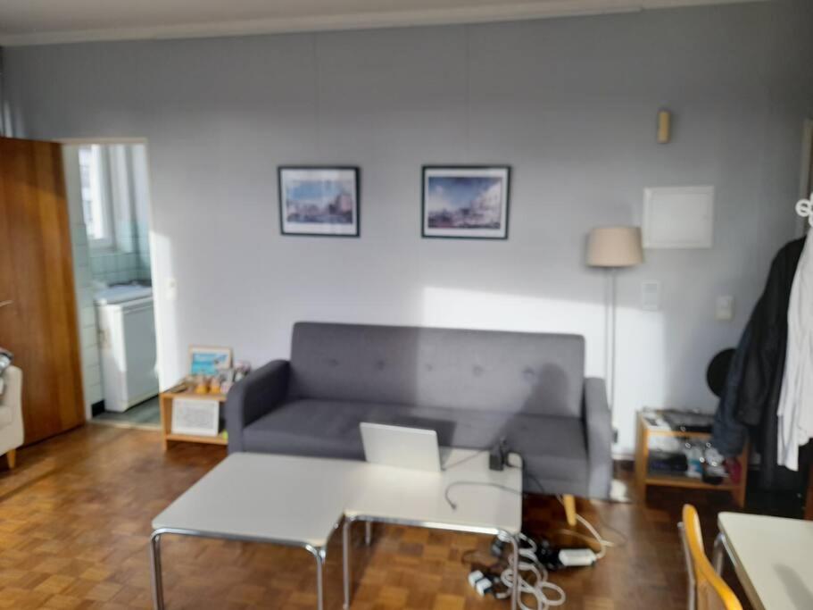 Sunny Apartment Antwerpen Bagian luar foto